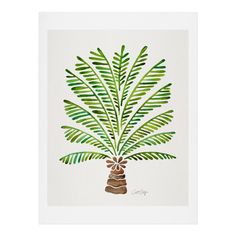 a watercolor painting of a palm tree with green leaves on it's branches