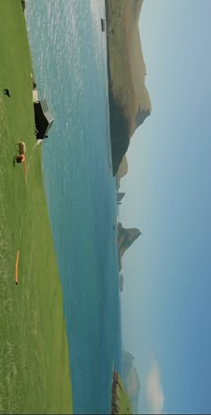 two people are flying kites on the grass next to the water's edge