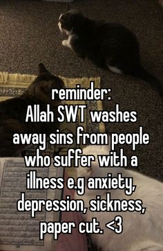 #whisper #islam | don't repost ! ⋆𐙚₊˚⊹♡ Protest Ideas, Beauty Of Islam, Cute Text Quotes, Islamic Messages