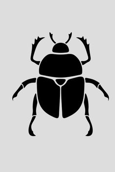 a black and white bug on a gray background with the words,'bugs are not insects