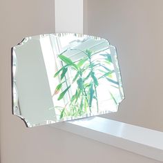 a mirror that is on the side of a wall next to a shelf with a plant in it