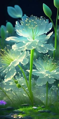 some white flowers are in the grass and water