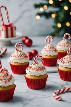 cupcakes with white frosting and candy canes on a marble table next to a christmas tree