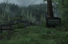 a sign in the middle of a forest with mountains in the background and foggy sky