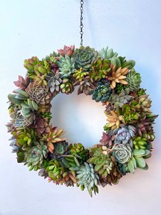 a wreath with succulents hanging on a wall