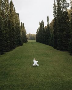 a woman is sitting in the middle of a field surrounded by tall trees and green grass