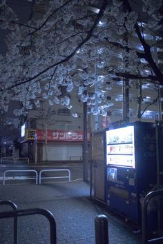 a city street at night with cherry blossoms on the trees