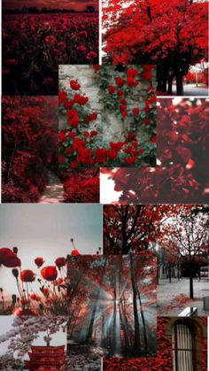 red flowers and trees are shown in this collage