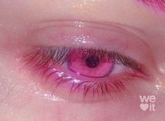 Pink Eye Color Aesthetic, Beautiful Eye Color Aesthetic, Pink Fox Aesthetic, Pink Eyes Aesthetic, Pink Eye Color, Rainbow Eyes, Yennefer Of Vengerberg, Catty Noir, Pink Eye