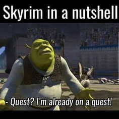 an animated character with the caption skyrim in a nutshell question? i'm already on a quest