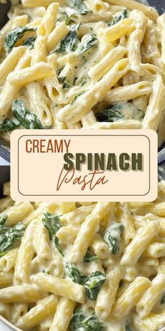 creamy spinach pasta in a pan with the title above it