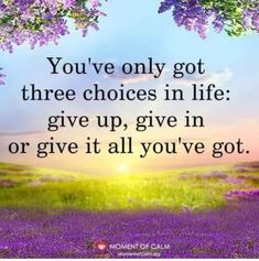 the quote you've only got three choices in life give up, give in or give