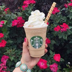 a hand holding up a starbucks drink with whipped cream and cinnamon sticks in front of pink flowers