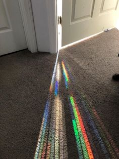 a dog laying on the floor in front of a door with rainbow colored light coming through it