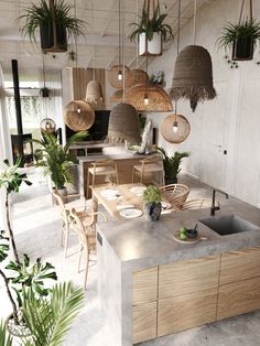 a kitchen filled with lots of plants and hanging lights