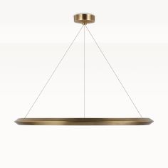 a suspended light fixture on a white background