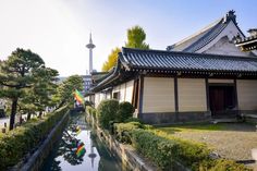 Planning to spend 14 days in Japan? Embark on a journey with our 2-week Japan travel itinerary, covering the best things to do. 2 Weeks In Japan, Things To Do In Tokyo, Meiji Shrine, Golden Pavilion, Yoyogi Park, Himeji Castle, Japan Itinerary, Torii Gate, Osaka Castle