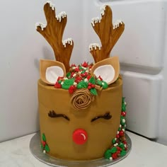 there is a cake decorated to look like a reindeer's head