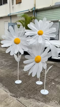 three white vases with yellow centers are in the shape of daisies on a sidewalk