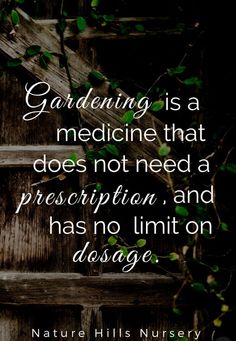 a wooden fence with a quote on gardening is a medicine that does not need prescription and has no limit on usage