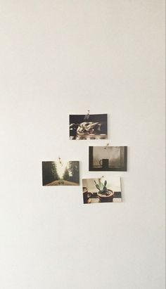 four polaroid photographs hanging on the wall