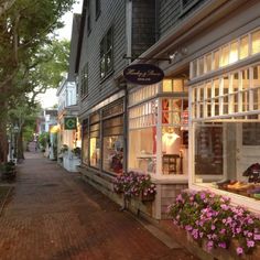 an image of a street that has flowers in the window