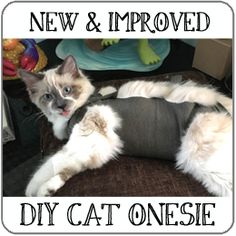 a cat laying on top of a chair with the caption new and approved diy cat onesie