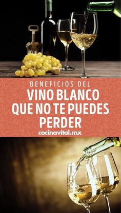 Descubre las mejores variedades de vino blanco 🍇. Explora nuestra web para aprender sobre sus características y disfrutar de su sabor único.