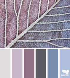 a color palette with different shades of purple and grey, including the leaves on top