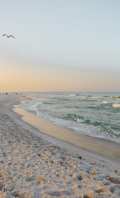 two birds flying over the ocean on a sandy beach at sunset with waves coming in