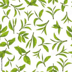 green leaves on white background, seamless pattern for wallpaper or fabric design in the style of watercolor painting