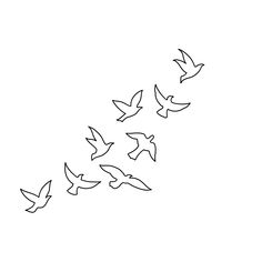 a flock of birds flying in the sky with their wings spread out to form a long line