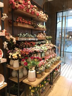 a flower shop filled with lots of different types of flowers