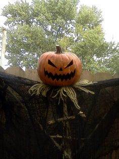 a jack o lantern sitting on top of a black cloth with trees in the background