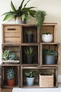 several wooden boxes with plants in them