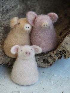 three little pigs sitting next to each other on top of a piece of driftwood