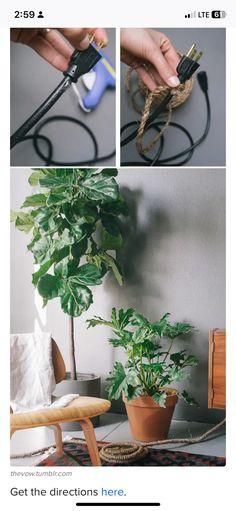 the instructions for how to tie a plant in a pot with an electric wire and scissors