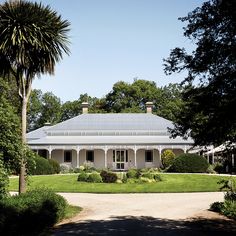 a white house surrounded by lush green trees