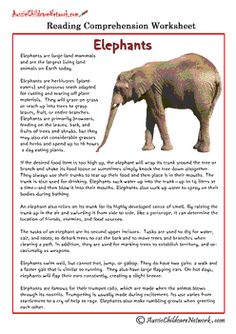 an elephant reading companion worksheet