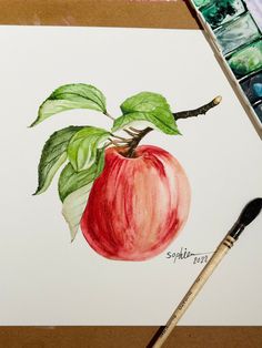 an apple with green leaves is shown on a piece of paper next to paintbrushes