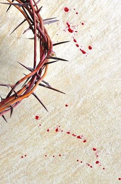 a crown of thorns with blood on the ground