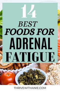 What to eat for adrenal fatigue. The best diet for adrenal fatigue. Lose weight and beat fatigue. Food For Adrenal Support, Adrenal Body Type Diet, Adrenal Fatigue Breakfast Ideas, Meals For Adrenal Fatigue, Adrenal Gland Diet, Adrenal Fatigue Diet Plan, Adrenal Fatigue Drink, Best Foods For Adrenal Fatigue