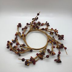 an arrangement of dried berries and stems on a white surface with space for text or image