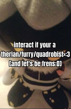 a stuffed animal with the caption interact if you're a siberian / furry / quadrobit - 3 and let's befren d