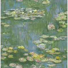 an image of water lilies in the pond