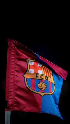 a red and blue flag is flying in the dark