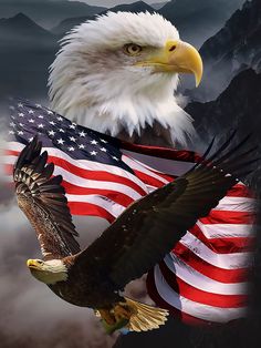 an eagle with the american flag on it's back and mountains in the background