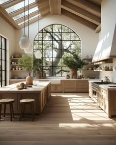 an open kitchen with wooden floors and large windows, potted plants on the counter