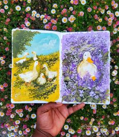 two pictures of ducks in the grass with flowers and daisies behind them, one is holding an open book