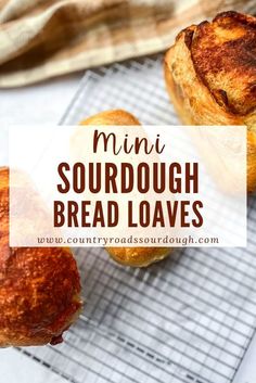 mini sourdough bread loaves on a cooling rack with text overlay reading mini sourdough bread loaves